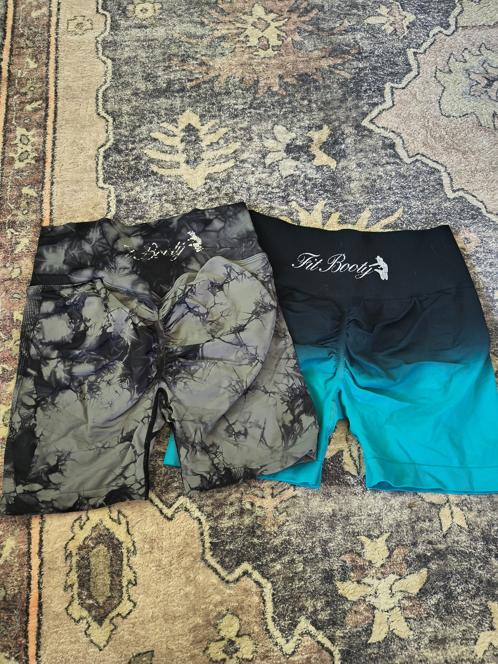 Fitbooty Women's Teal Ombre Bike Shorts